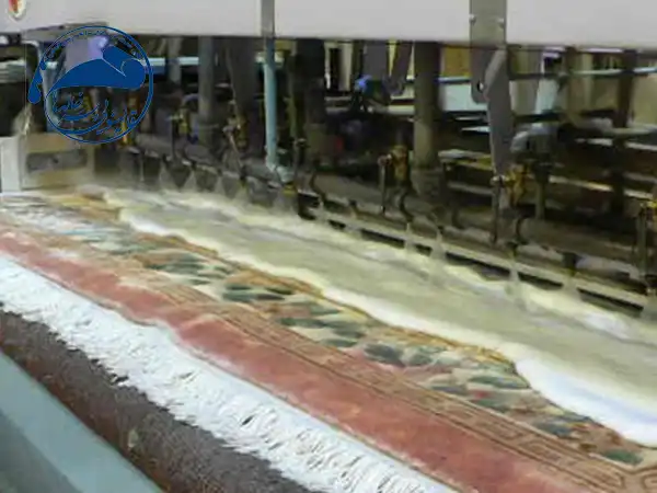 بهترین قالیشویی در خیابان 16 متری امیری چه ویژگی هایی دارد؟